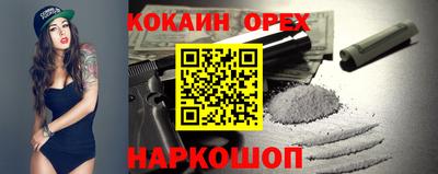 хмурый Кингисепп