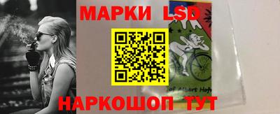 хмурый Кингисепп