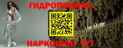 хмурый Кингисепп