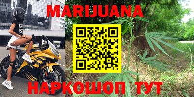 хмурый Кингисепп