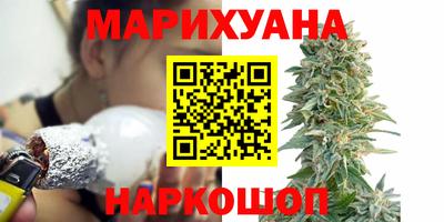 шишки Кинель