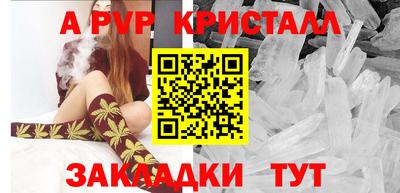 шишки Кинель