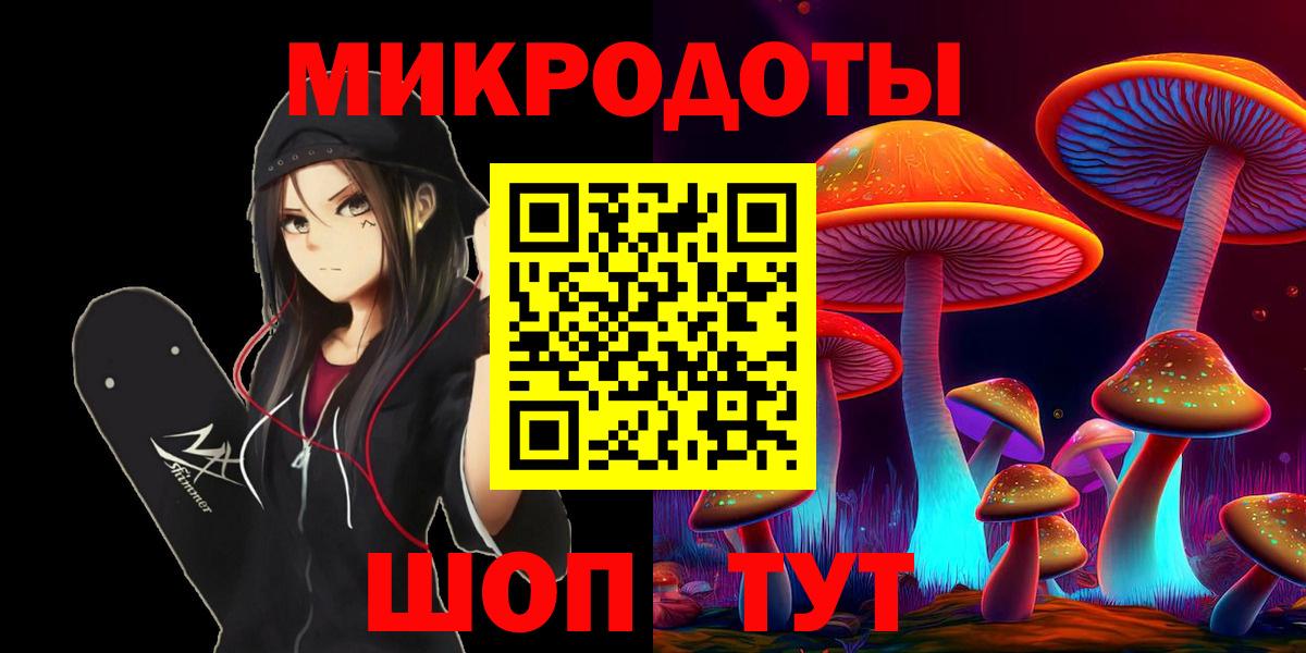 Псилоцибиновые грибы Psilocybe  Вход с VPN  Псилоцибиновые грибы прущие грибы  Корсаков 